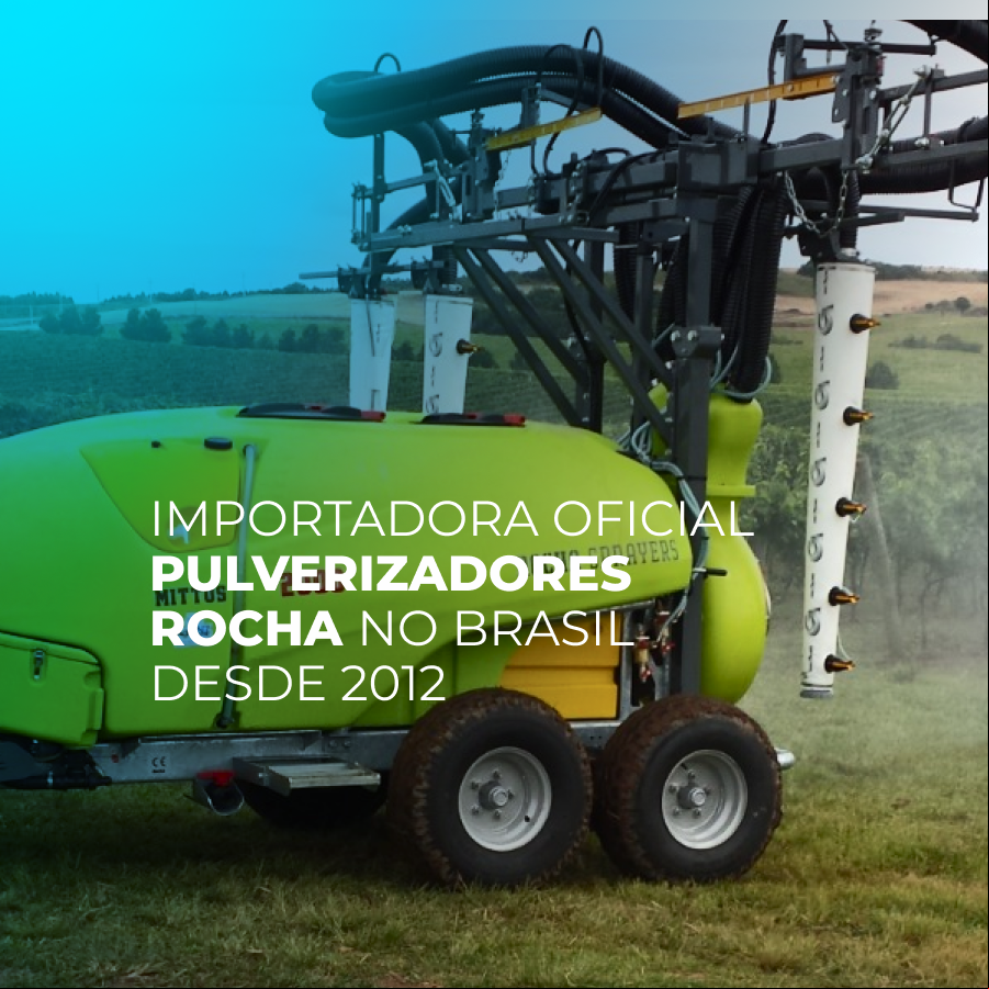 Rocha